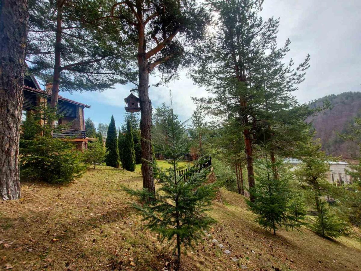 Aurora Resort & Spa Μπέροβο Εξωτερικό φωτογραφία